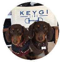 KEYGILINE dog horse horses keygi Sticker