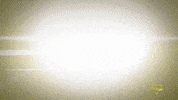 influencer trending all day GIF