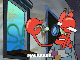 season 5 GIF by SpongeBob SquarePants