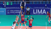Power Point GIF by Volleyball World