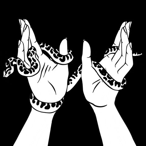 anjaslibar giphyupload hands snake fingers GIF