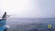 wicked tuna GIF by National Geographic Channel