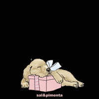 salepimentakids salepimenta salandpimenta salpimenta salandpimentadog GIF