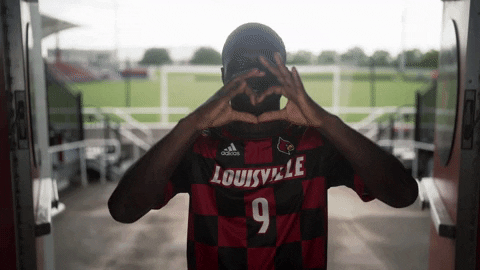 University Of Louisville Go Cards GIF by Louisville Cardinals