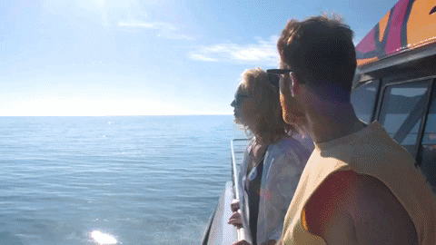 ExperienceCo giphygifmaker holiday australia adventure GIF