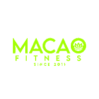 Zumba Macau Sticker by Macao Fitness