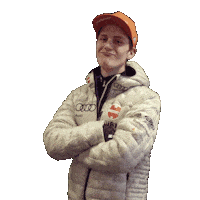 Here We Go Agree Sticker by Viessmann Sport