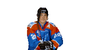 unisflyers goal adam eagles flyers Sticker