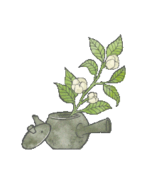 Tea Mdo Sticker by minamidesignoffice