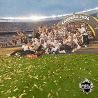 Libertadores Bfr GIF
