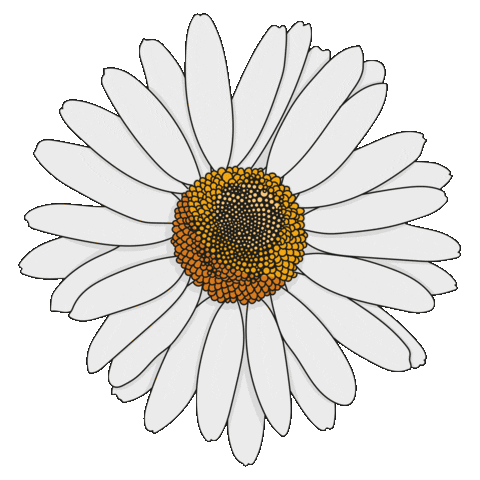 Lebedame giphyupload flower power creativestudio unnau-korb Sticker