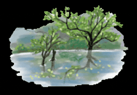 South Korea Travel GIF by vank