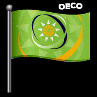 Oeco GIF by OECS Commission