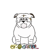 English Bulldog Dog Sticker