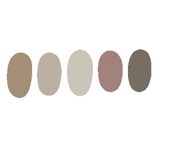 Color Palette Sticker