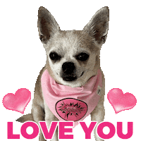 Love You Pink Sticker by Pimp Yo Pets