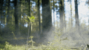 smoke perfect loop GIF by Living Stills
