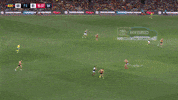 round 20 afl GIF by Adelaide Crows