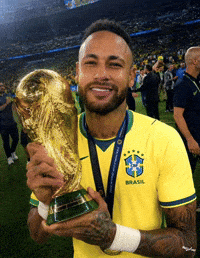 Neymar Jr Brazil GIF