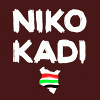 Elections Kenya GIF