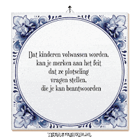 Nl Wijsheid Sticker by Tegelspreuken.nl