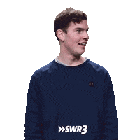 You Dont Say No Way Sticker by SWR3