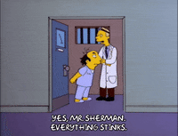 the critic jay sherman GIF