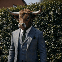 Cowley GIF by Levels Protein