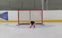 Hockey Goalie GIF by Talking Hockey