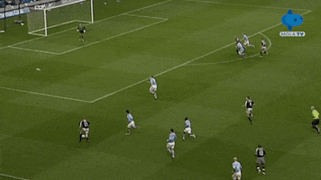 Coach Reaction GIF by MolaTV