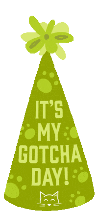 Adopt Humane Society Sticker by Merrick Pet Care