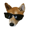 dog STICKER by imoji