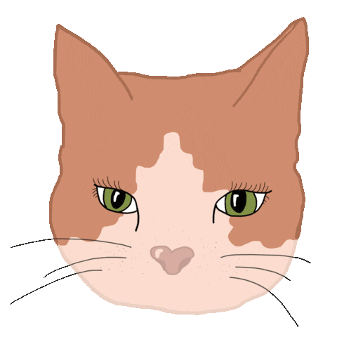 iriskristen giphyupload cat face wink Sticker