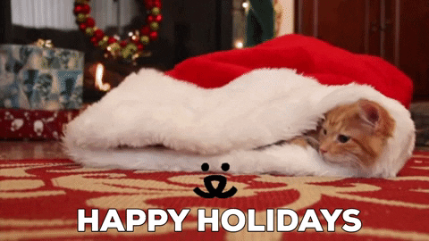 Video gif. Two cats snuggle comfortably inside a large Santa hat placed on the ground--suddenly, the black-and-white cat jumps up and pounces away merrily. Text, "Happy Holidays."