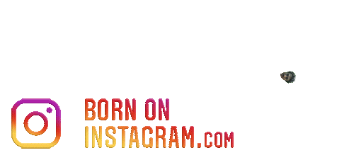 Ananthkrishna37275Boi Sticker by BORN ON INSTAGRAM