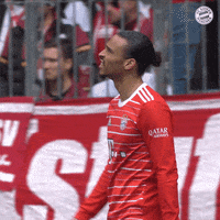 Disappointed Football GIF by FC Bayern Munich