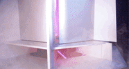 lindoperobruto GIF by Thalia