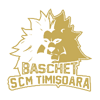 Timisoara Sticker by BC Athletic