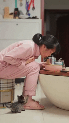 cuteanimalland giphyupload GIF