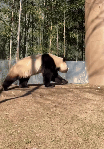 ehdgus1211 giphyupload GIF