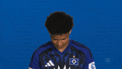 Look Up Hamburger Sv GIF by Bundesliga
