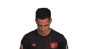 Bayer Leverkusen Sticker by Bundesliga