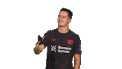 Bayer Leverkusen Sticker by Bundesliga