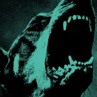 KAYZO_MUSIC welcome doghouse kayzo dimmak GIF