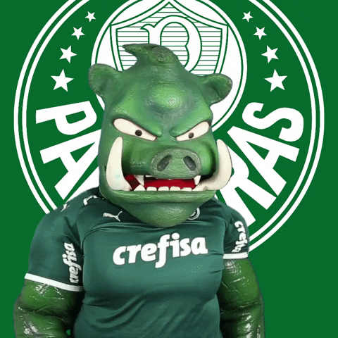 soccer bravo GIF by SE Palmeiras