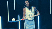 North Carolina GIF by UNC Tar Heels
