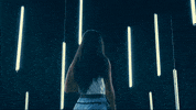 North Carolina GIF by UNC Tar Heels