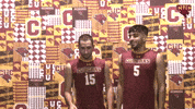 Cuc GIF by CUCougars