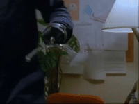 episode 5 specials GIF