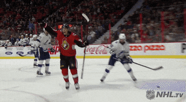 Celebrate Ice Hockey GIF by NHL